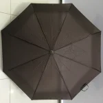 چتر مدل 1053 - تصویر 2