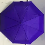 چتر مدل 1055 - تصویر 2